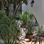 Mit Kleiner Innenhof-terrasse Im Mediterranen Stil Икод-де-лос-Винос