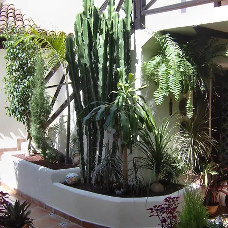 Mit Kleiner Innenhof-terrasse Im Mediterranen Stil Апартаменты Икод-де-лос-Винос